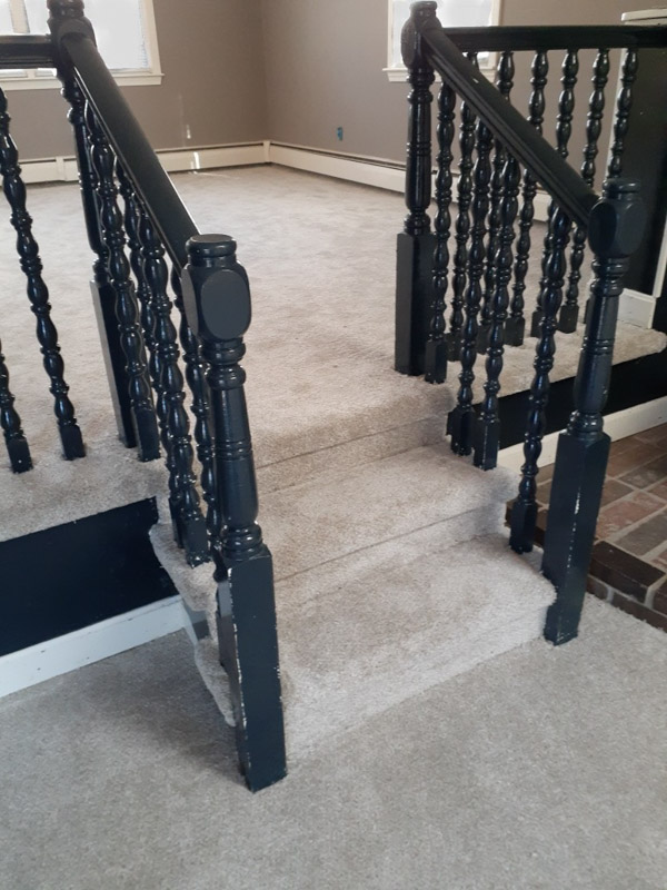 light carpet installed in family room with stair drop down